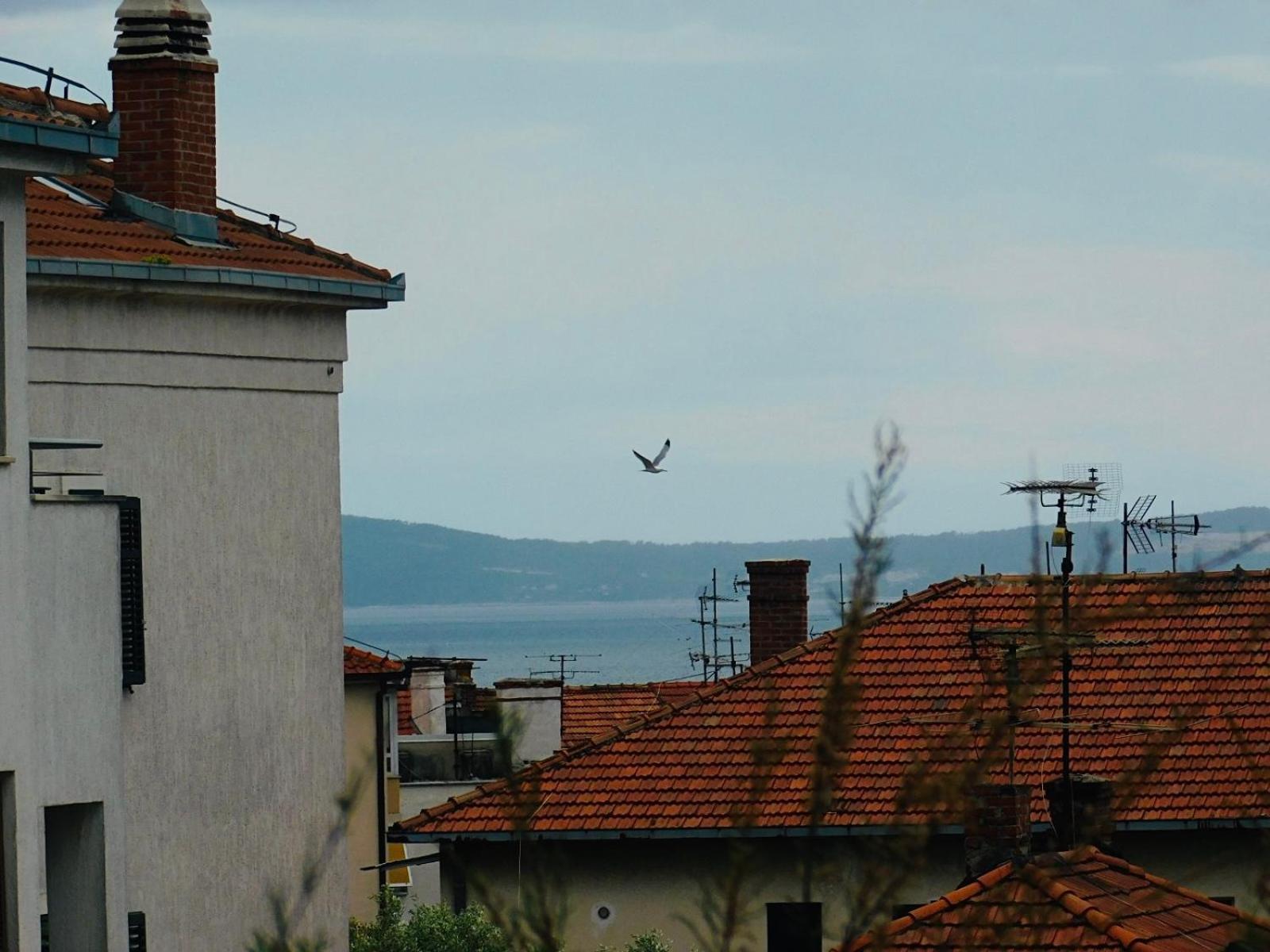 Apartments Lux Lariva, Center Of Split Dış mekan fotoğraf